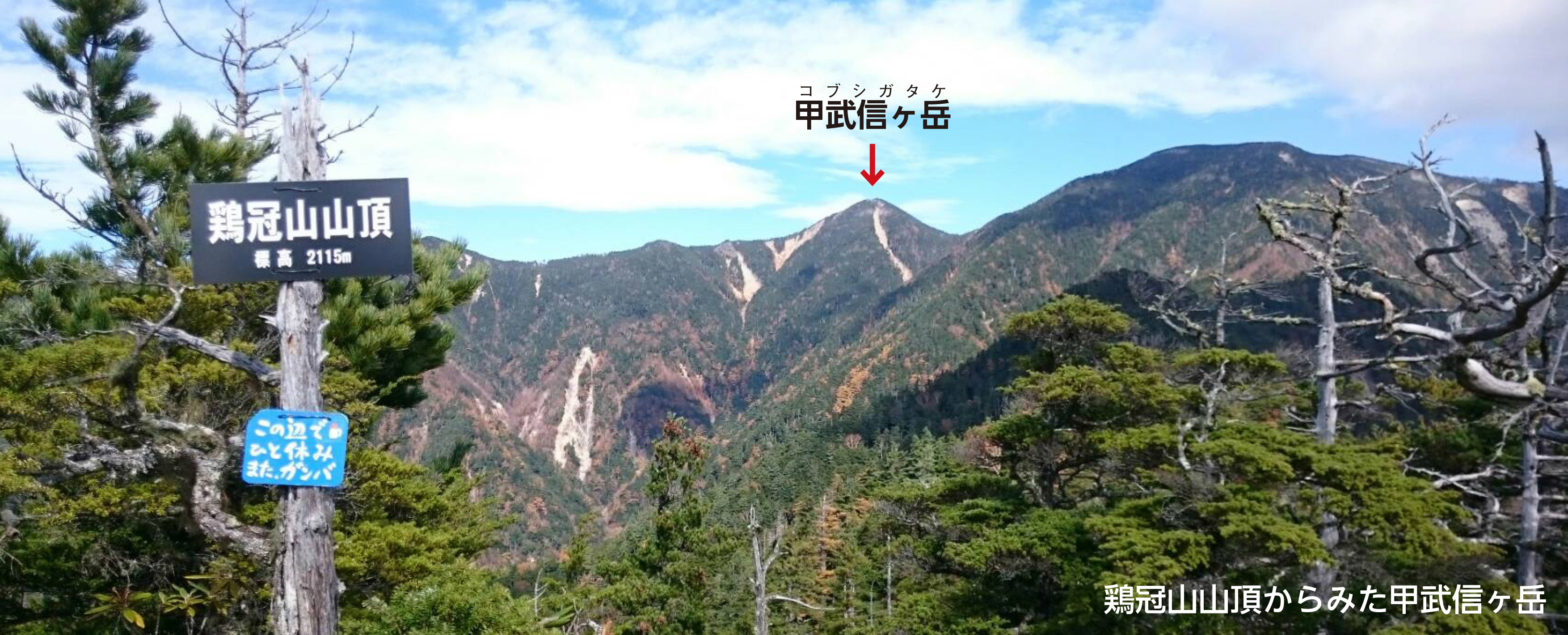 鶏冠山からみた甲武信ヶ岳