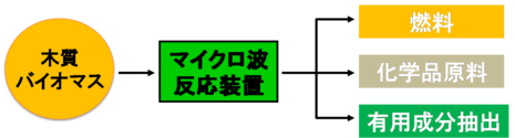 木材資源から自動車燃料や化学品原料等をつくる実証実験