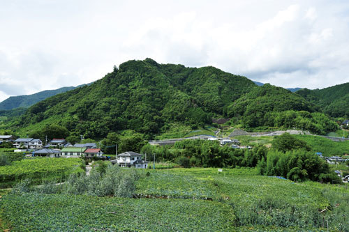 小田野城跡の写真