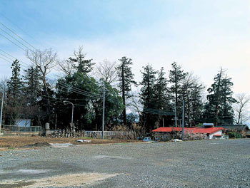 窪八幡神社ブッポウソウ繁殖地