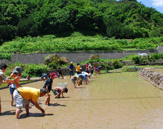 ふるさと納税田植え子どもたちの写真