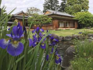 アヤメと青山莊