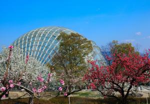 フルーツ公園ドーム