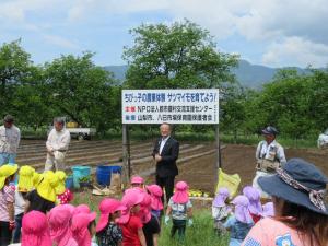 ちびっ子の農業体験サツマイモを育てよう！