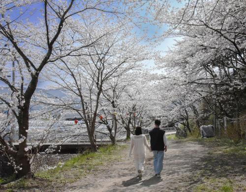 荒神山桜公園