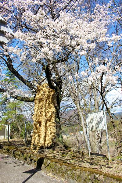 隼の大わらじ