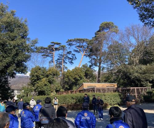 万力公園赤松保護活動