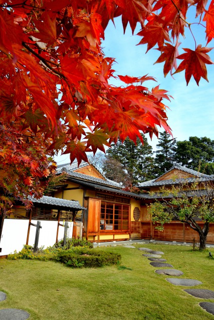 市街地の紅葉