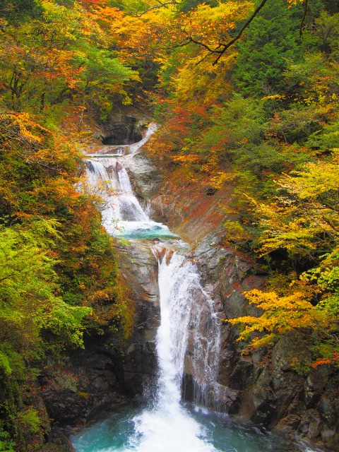 紅葉（西沢渓谷）