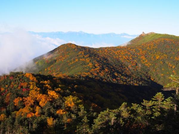 紅葉（大弛峠）