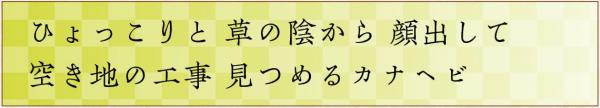 ひょっこりと草の陰から顔出して空き地の工事見つめるカナヘビ