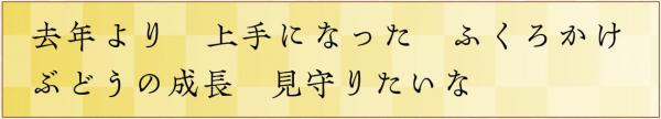去年より上手になったふくろかけぶどうの成長見守りたいな