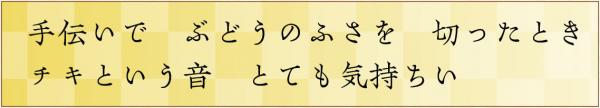 手伝いで　ぶどうのふさを　切ったとき　チキという音　とても気持ちい