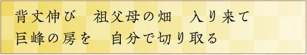 背丈伸び　祖父母の畑　入り来て　巨峰の房を　自分で切り取る