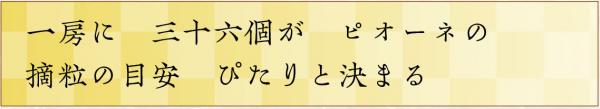 一房に　三十六個が　ピオーネの　摘粒の目安　ぴたりと決まる