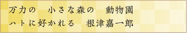 万力の小さな森の動物園ハトに好かれる根津嘉一郎