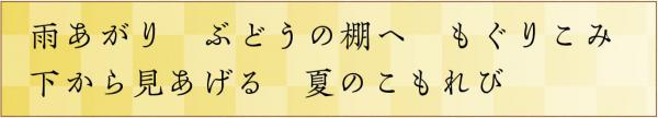 雨あがり　ぶどうの棚へ　もぐりこみ　下から見あげる　夏のこもれび
