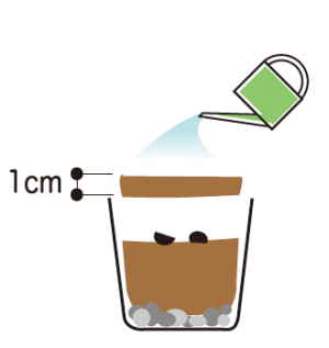 水やり