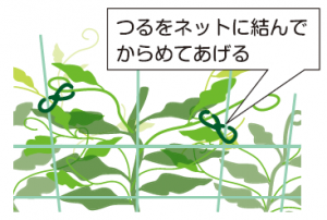 誘引