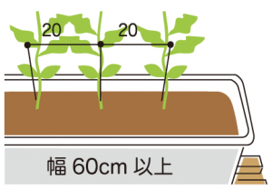 植える位置