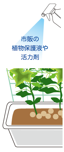 防虫