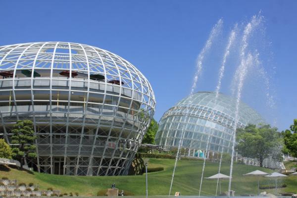 フルーツ公園