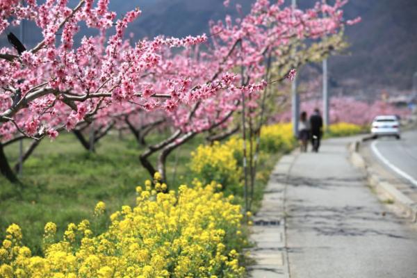 桃源郷