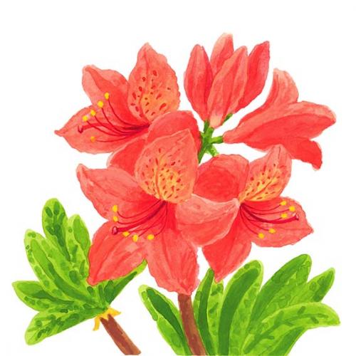 市の花ツツジ