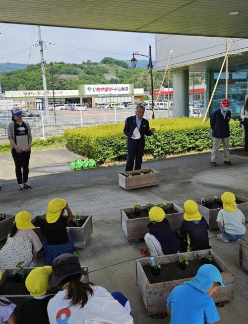緑のカーテン事業