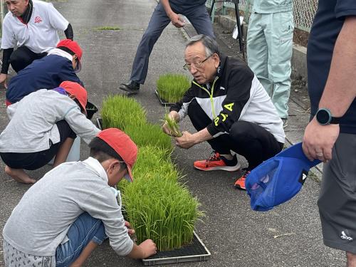 笛川小学校田植え作業