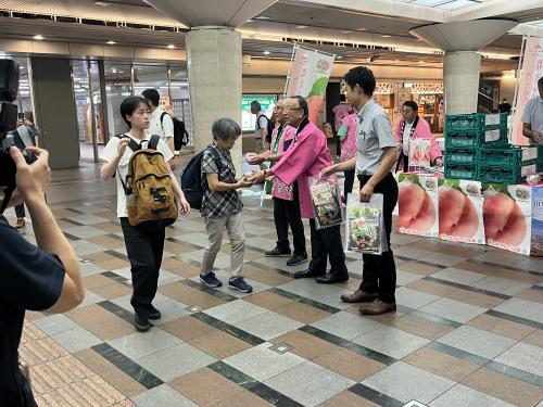 トップセールス京都
