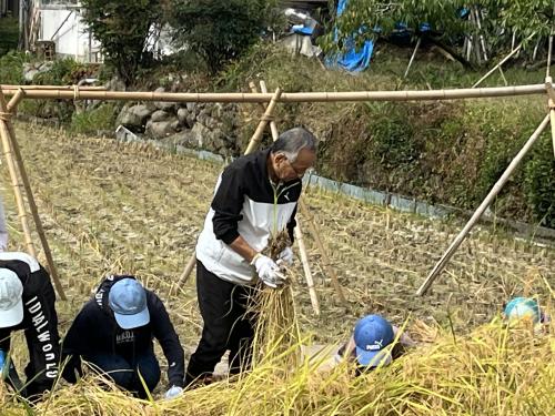 笛川小学校稲刈り授業