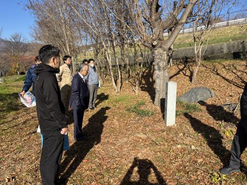 桜プロジェクト