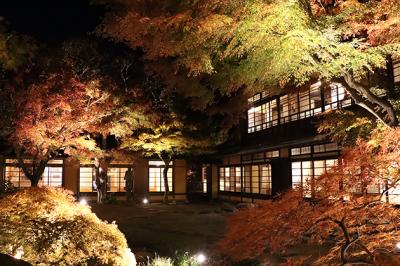 根津記念館ライトアップ