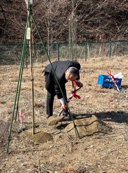 ガ二沢広場桜植樹