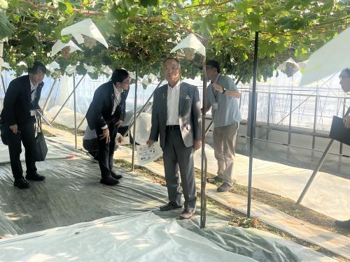 果樹試験場現地確認