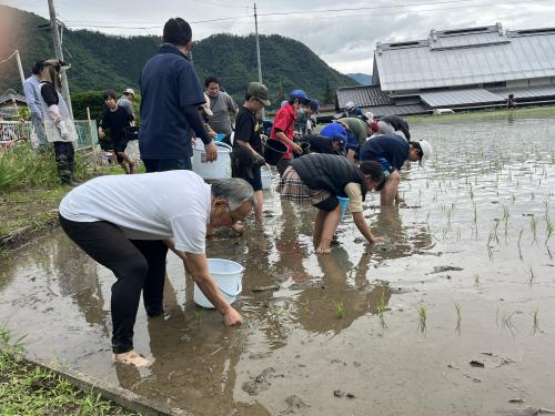 教育ファーム田植え授業