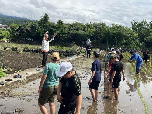 教育ファーム田植え授業
