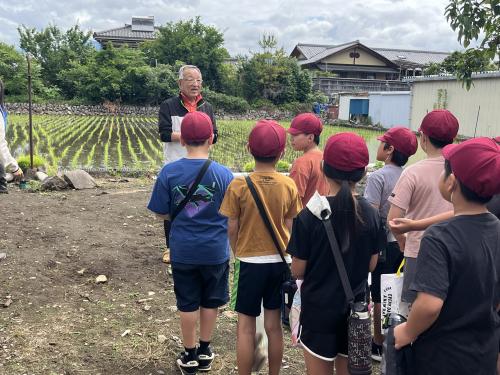 教育ファーム田植え授業