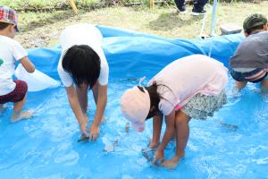 魚のつかみ取り