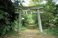 金桜神社石鳥居