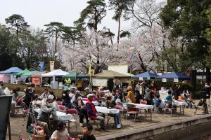 万力公園桜まつり（4月6,7日）の写真1