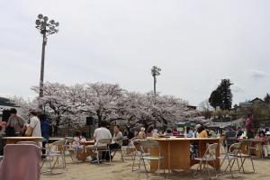 桜まつり・うたごえの集い（旧牧丘第二小学校）写真3