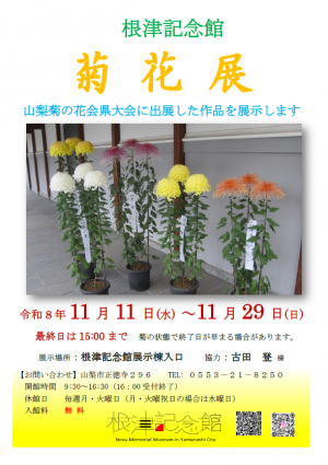 菊花展チラシ
