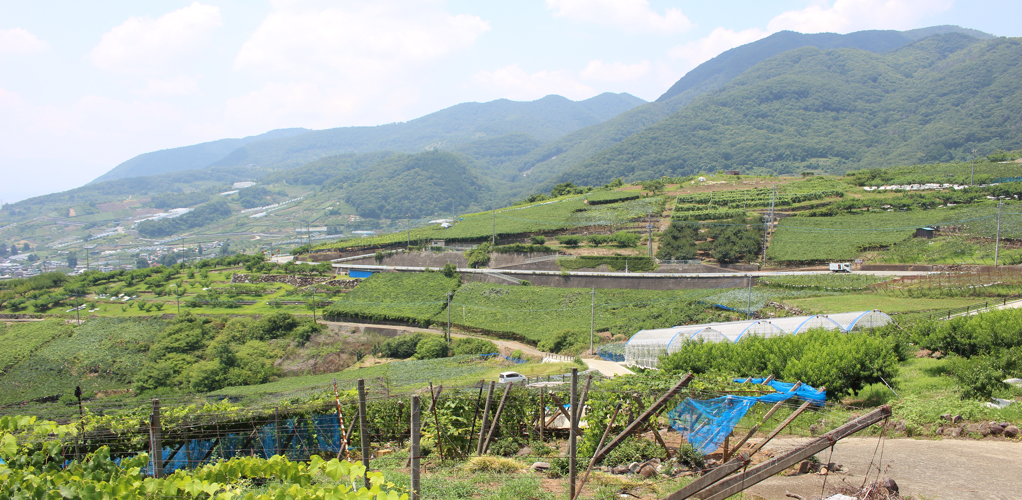 世界農業遺産「峡東地域の扇状地に適応した果樹農業システム」のタイトル画像